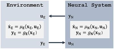 An in-silico framework for modeling optimal control of neural systems